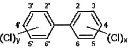 Figura 1.6. Estructura dels bifenils policlorats (DL-PCBs) 