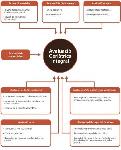 Figura 5: Elements bàsics de l’avaluació geriàtrica integral