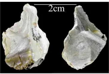 Figure 8.33 – Retouched silopal fragment (H41-51-unV-2009) 