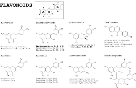Figura 4. Estructura química dels flavonoids (Andres-Lacueva, 2009). 