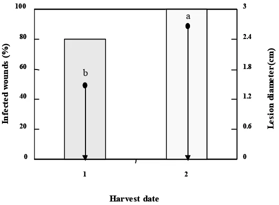 Figure 1: Influence of harvest date on decay incidence (number of infected at 10fruits in %) and lesion diameter (cm)