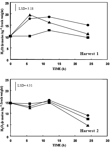 Figure 2: Effect of harvest date on hydrogen peroxide (Hcontrol (wounded and inoculated with a (2O2) levels in �), wounded (�) or inoculated fruits (▲)