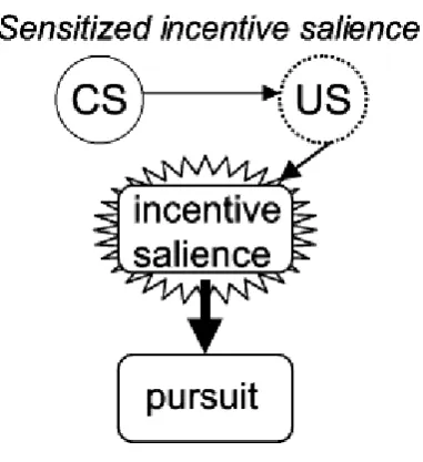 Figura 4. According to the incentive-sensitisation theory the critical change is in the ability of drug cues (the dashed US evoked by a drug cue) to engage a sensitized motivational response of incentive salience (as indicated by the starbust)