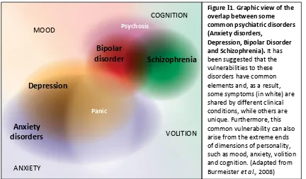 Figure I1. Graphic view of the 