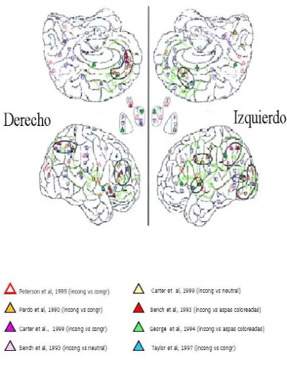 Test De Stroop Evaluación Neuropsicológica Y Neurofuncional 6263