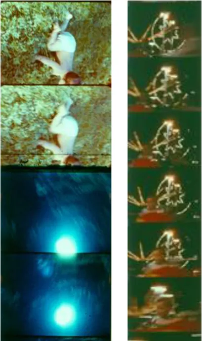 Figure 19. Stills from Anticipation of the Night 