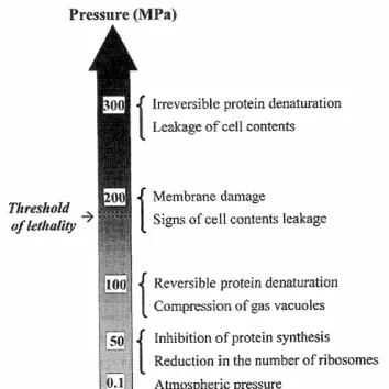 Figure 1. Source:Structural and functional changes in microorganisms at different pressures