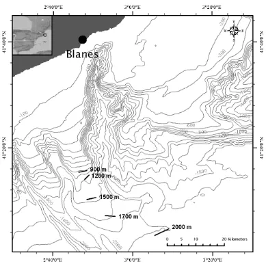 Figure 1.9 Map of Blanes canyon, NW MediterraneanArcMap™ 9.3 and bathy by J.A. García, using ESRI®metric data from Canals et al