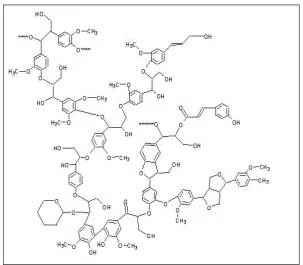 Figura 1.1. Possible estructura de la lignina. 