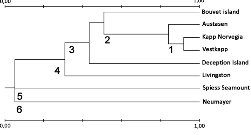 Fig. 4. Dendrogram from hierarchical clustering (single linkage) of the bryozoan fauna from the Southern oceans 
