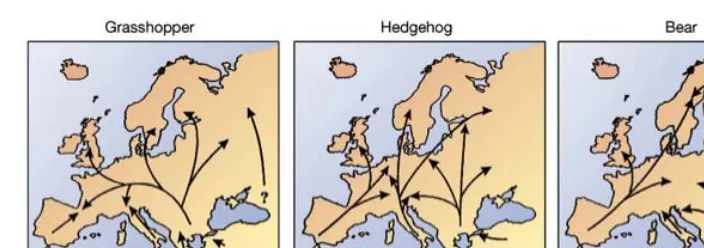 Figure 
   3 
   The 
   three 
   main 
   postglacial 
   colonization 
   routes, 
   based 
   on 
   DNA 
   differences 
   for 
   the 
  grasshopper 
  (Chorthippus 
   parallelus), 
  the 
  hedgehog 
  (Erinaceus 
   europeus/concolor) 
  and 
  