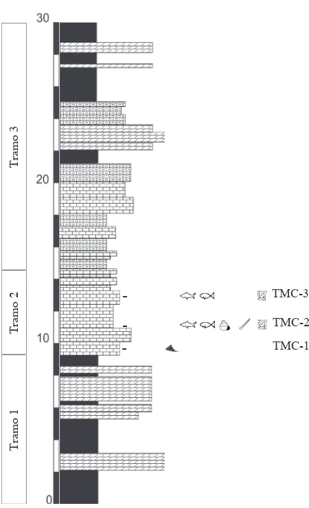 Figura 3.18 - Columna estratigráica de la sección de Tramacastilla. Modiicado de Pérez-Arlucea (1991)