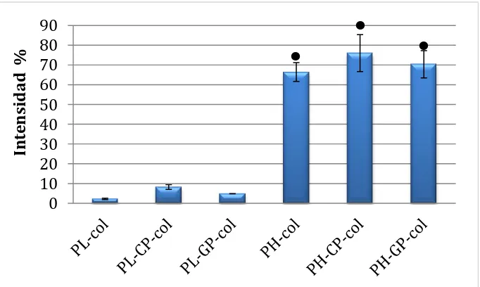 Figura 3.5:  Imágenes de fluorescencia del colágeno fisisorbido (PL-col,  PH-col) y el enlazado covalentemente (PL-CP-col, PL-GP-col, PH-CP-col y PH-GP-col), obtenidas a 10 aumentos