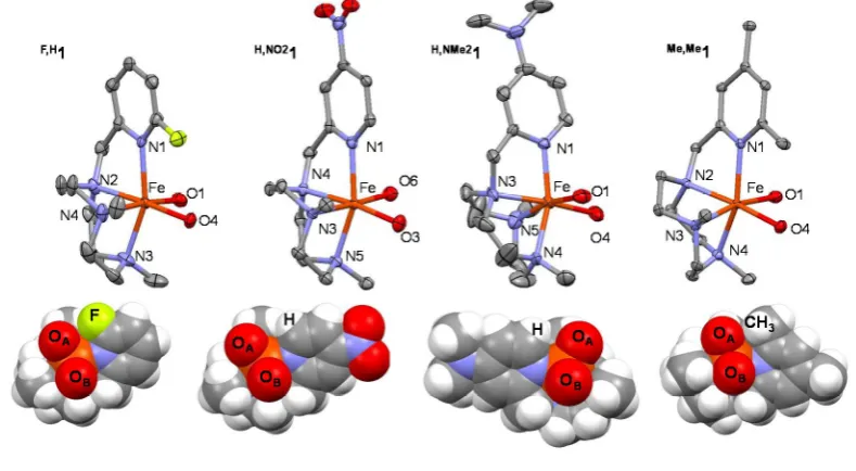 Figure 1. Top: X-Ray structures of for clarity but the oxygen atoms directly bound to the iron center are represented