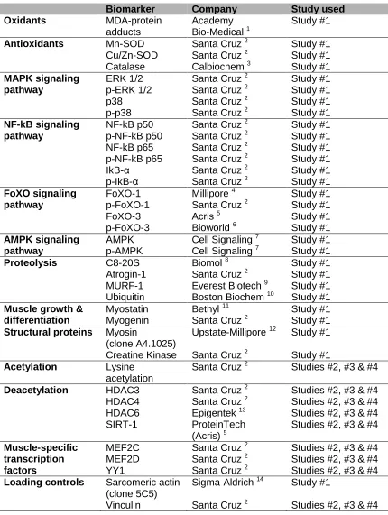 Table 4: Specific antibodies used in the four studies. 