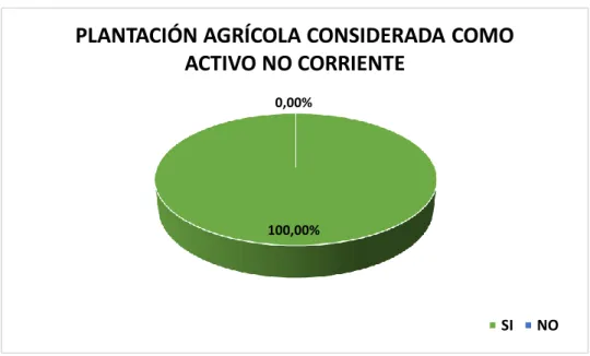 Tabla 9. Plantación agrícola considerada como activo no corriente  Descripción  Frecuencia  Porcentaje 