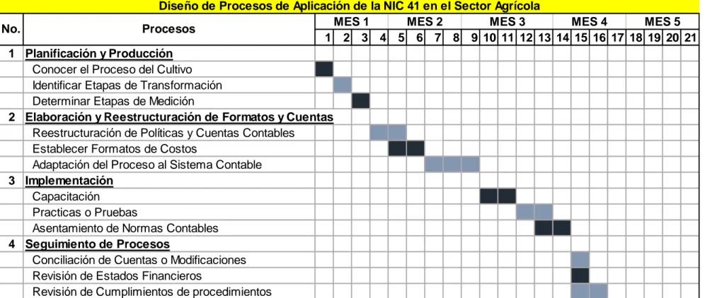 Figura 12. Diagrama de Gantt de Proceso de Aplicación de NIC 41 
