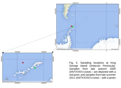 Fig. 5. Sampling locations at King George Island (Antarctic Peninsula). 