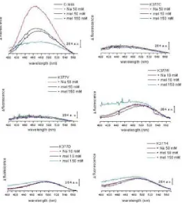 Figure 7.11 Direct excitation of D2G. For all fluorescence spectra:
