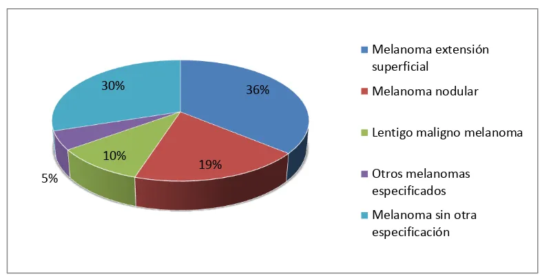 Figura 1.11: Tipo de melanoma en la Región de Murcia en el periodo 1983-2003 (8). 