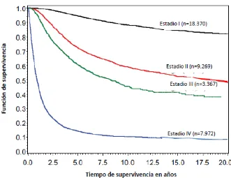 Figura 1.12: Disminución de la supervivencia según el estadio del melanoma (33). 