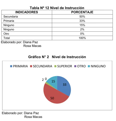 Tabla Nº 12 Nivel de Instrucción 