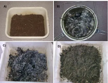 Figure 3.5: Laboratory bioremediation of PAHs-contaminated soil through composting,A: 