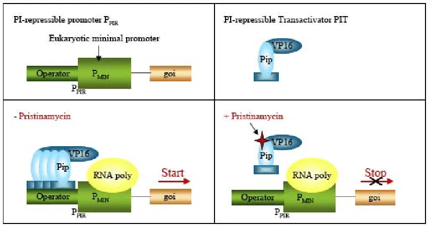 Figure 6: The PipOFF System 83. 