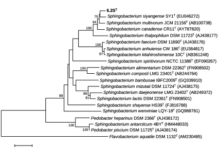 Fig. 1. Neighbor-joining phylogenetic tree based on 16S rRNA gene sequences showing the 
