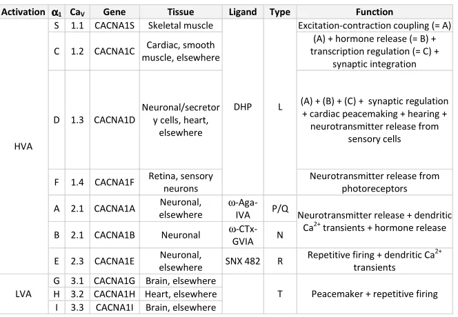 Table 1: Voltage-gated Ca2+pharmacology and principal functions are described.  channel classification