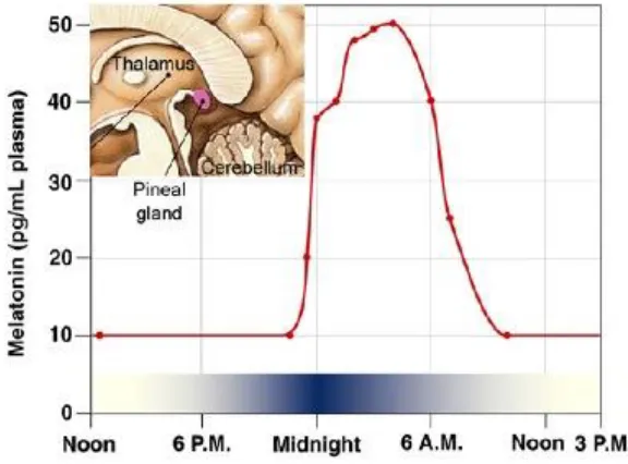 Figure 1.4.2.2 Melatonin suppression with increasing light intensity for different wavelengths of light (Thapan et al., 2001)   