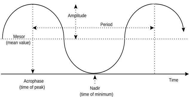 Figure 4.2.4 Cosinor curve and derived cosine parameters: mesor (24-h mean), amplitude (maximum-mean), and acrophase (peak time)