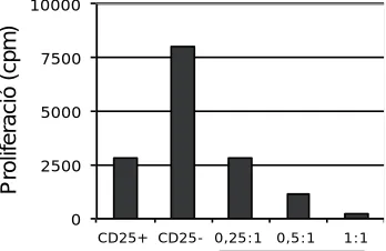 Figura 1.4. A timus existeix una correlació positiva entre CD25 i FOXP3. Es va analitzar l´expressió de FOXP3 i CD25 per PCR quantitativa en 12 mostres de teixit tímic total, 4 de cada grup d´edat