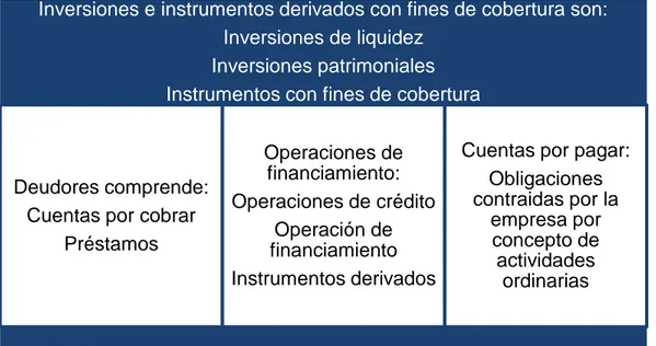 Tabla 1: Estructura de los Instrumentos Financieros