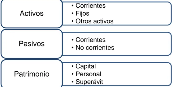 Figura 1: Componentes de los Estados de Situación Financiera 