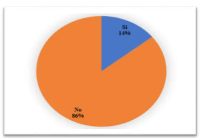 Tabla 19 Seguimiento de las observaciones realizadas por el auditor 