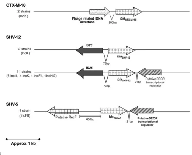 Figure 1. Continued