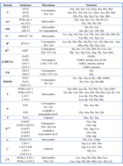 Tabla 1. Clasificación de los sistemas de transporte de aminoácidos en mamíferos adaptada y actualizada