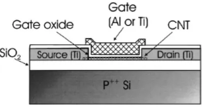 Figure Adapted1.3. Schematic illustrations of a top‐gated CNTFET resembling the conventional MOSFET structure. from (7). 