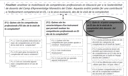 Figura 41: Organització de la pregunta de recerca P3. 