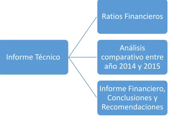 Figura 5 Informe Técnico 