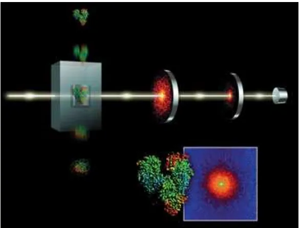Figure 1.9: Experimental set-up for atomic resolution images based on single pulsediﬀraction patterns using the radiation of free-electron laser.