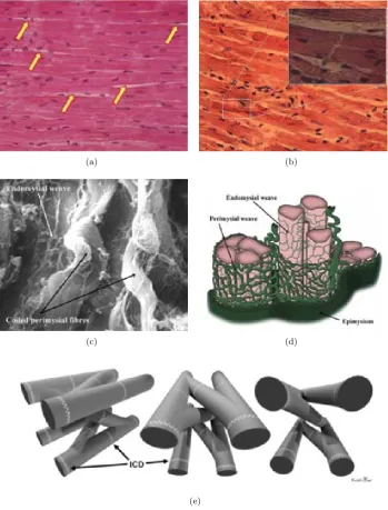 Figure 2.2: Images adapted or obtained from (a,c,d) from [4], (b) CC BY-SA 3.0,Dr. S. Girod and Anton Becker, and (e) from [6].