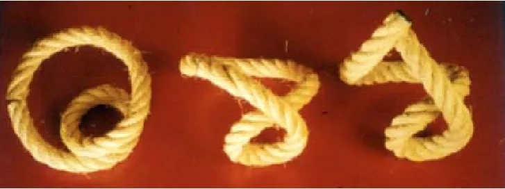 Figure 2.7: Description of the the contraction of DS ﬁbers explains blood ejec-PAGES/VMB Function.htmtion by twisting and shortening of ventricles (B) and subsequent contraction ofAS ﬁbers forces the inverse action for blood suction (A) according to Torrent-Guasp.Figure from Torrent-Guasp's website (http://www.torrent-guasp.com/).