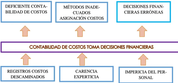 Figura 1 Árbol de Problemas  