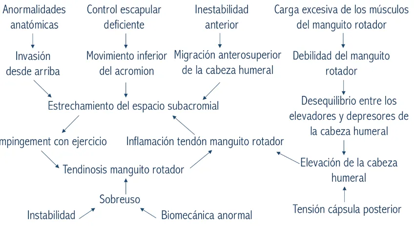 Figura 7. Factores implicados en la patogénesis de impingement de hombro. Adaptado de Brukner y Khan, 1993
