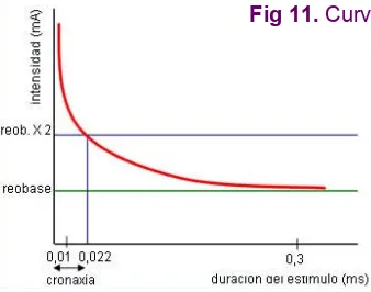 Fig 11. Curva de intensidad-duración 