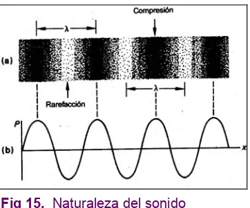 Fig 15.  Naturaleza del sonido 