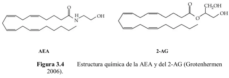 Figura 3.4 