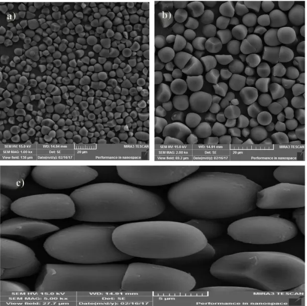 Figura 13. Micro- imagen de gránulos de almidón de la semilla de lúcuma a 40°C mediante la Microscopia  electrónico de barrido a) 1000 x, b) 2000x y c) 5000x de aumento  